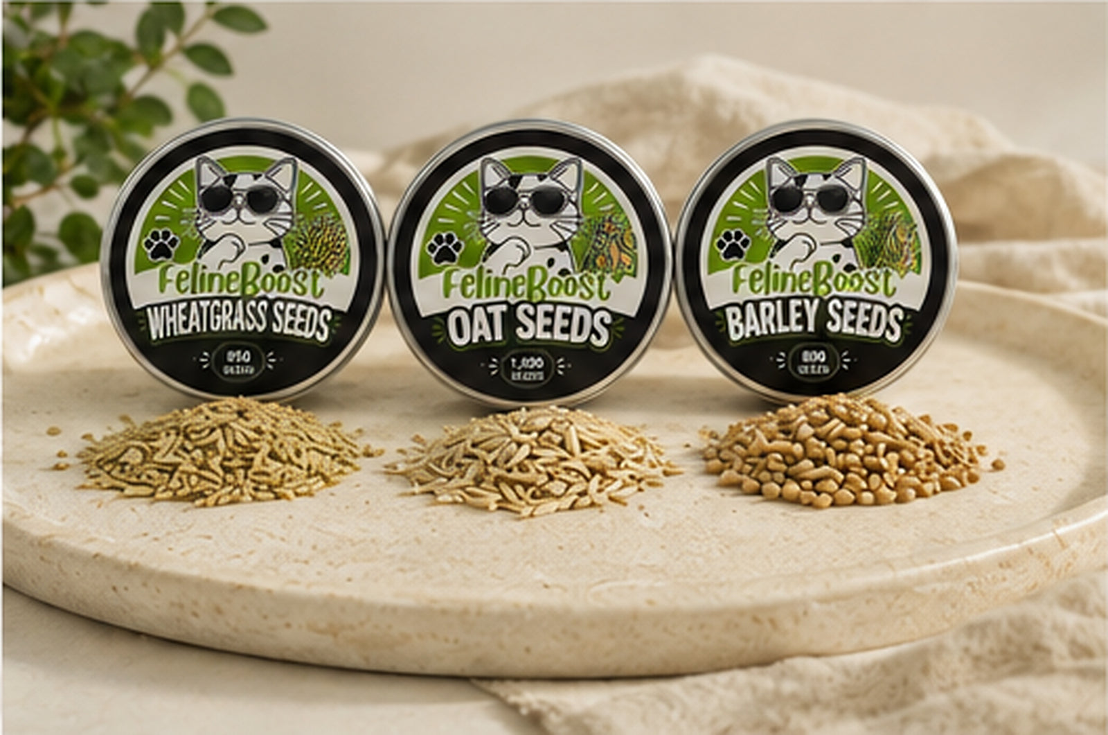 FelineBoost wheatgrass, oat, and barley seed tins with matching loose seeds.
