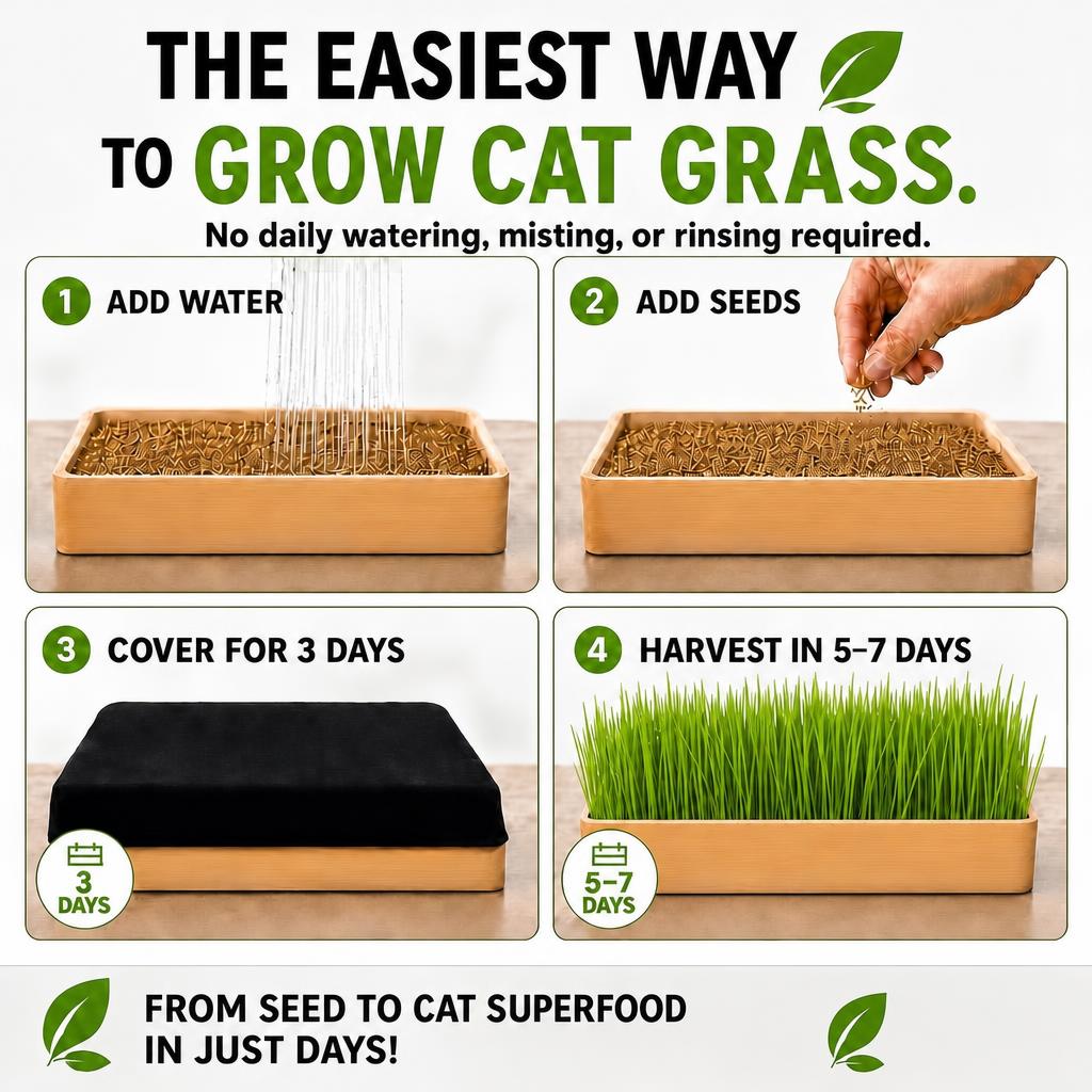 Starter Cat Grass Kit