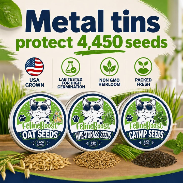 Cat Grass + Catnip Discovery Flight