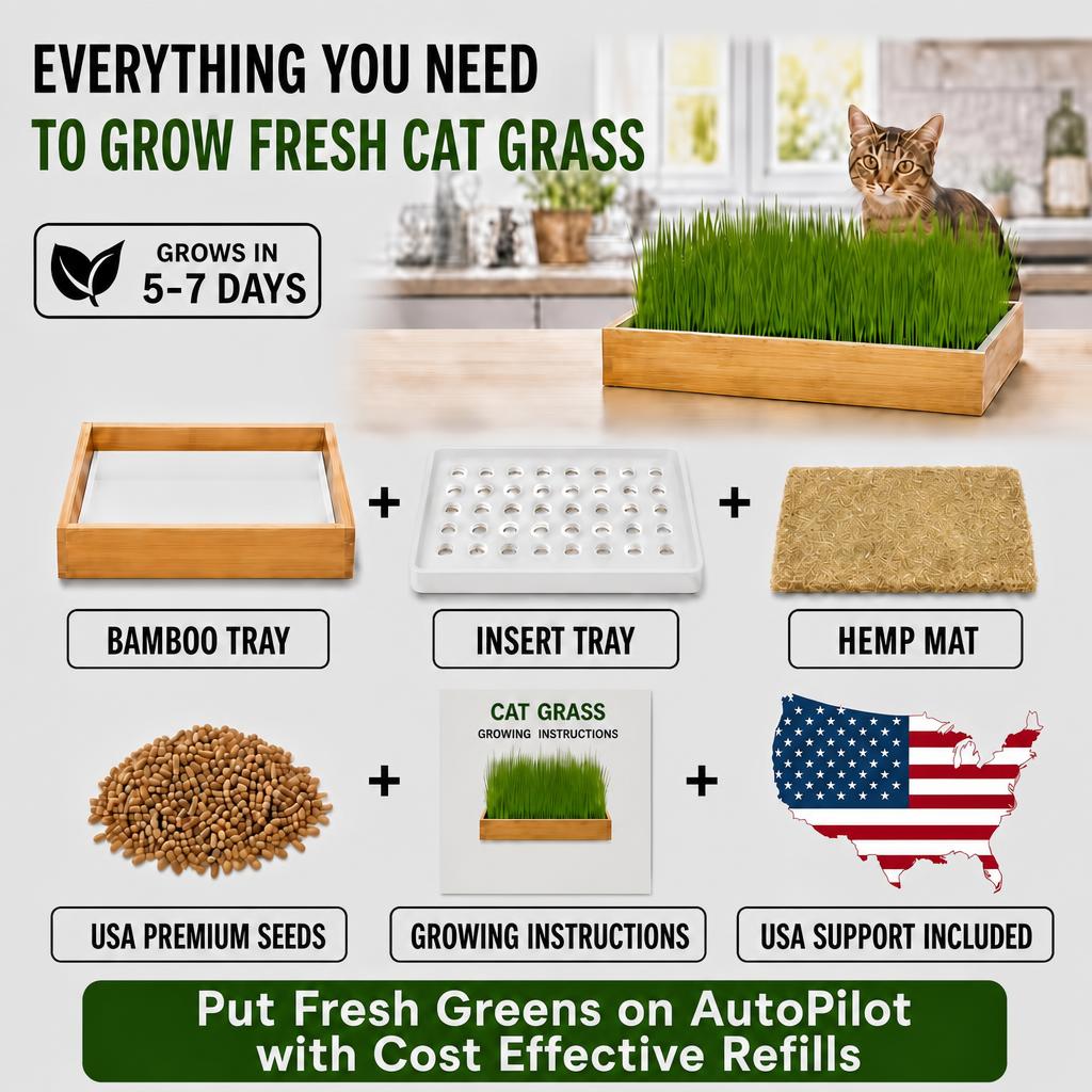 Starter Cat Grass Kit