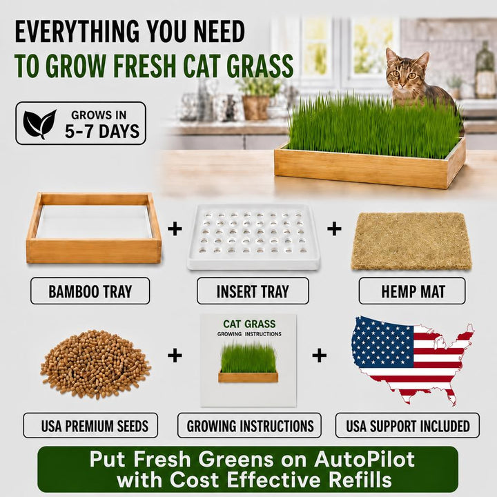 Starter Cat Grass Kit
