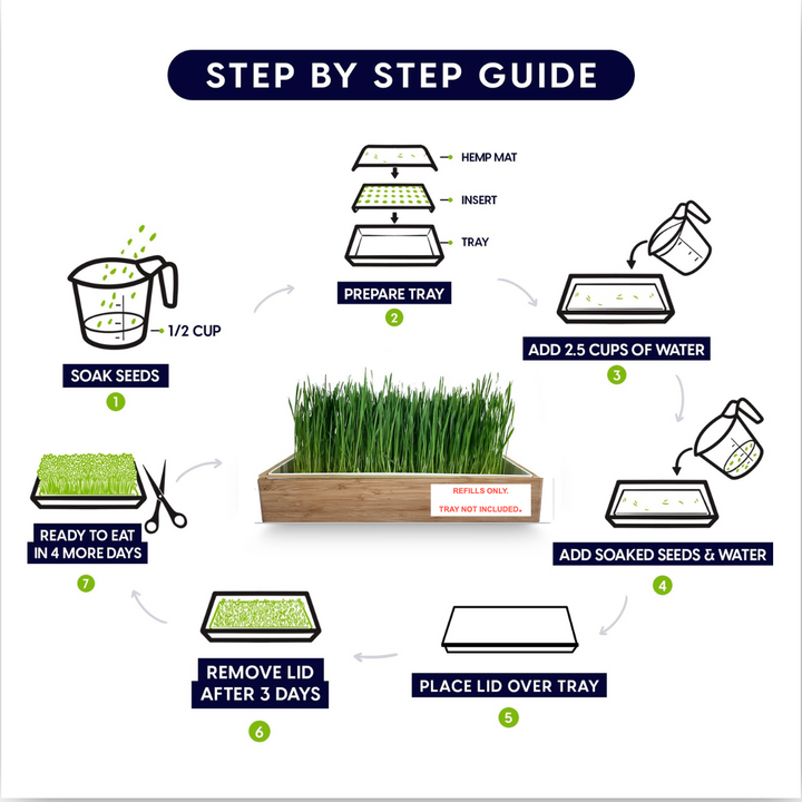 Cat Grass Self-Watering Refill Pack (4-Pack)