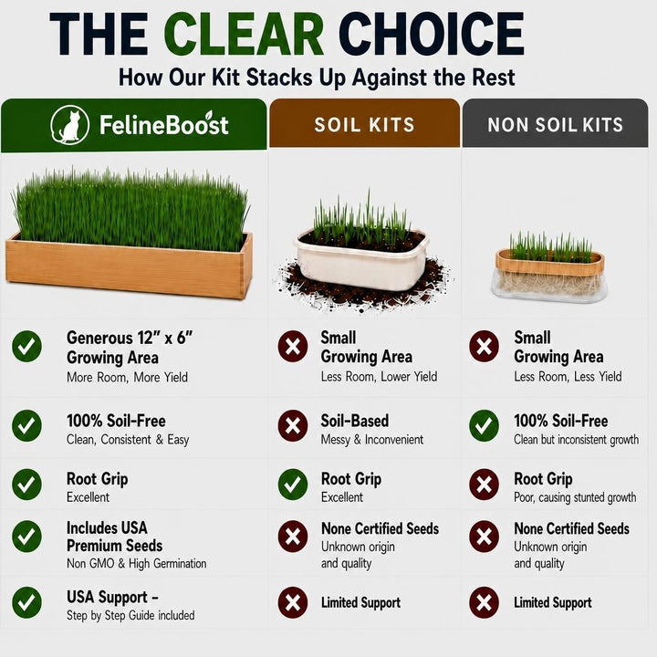 Starter Cat Grass Kit