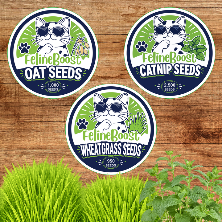 Cat Grass + Catnip Discovery Flight