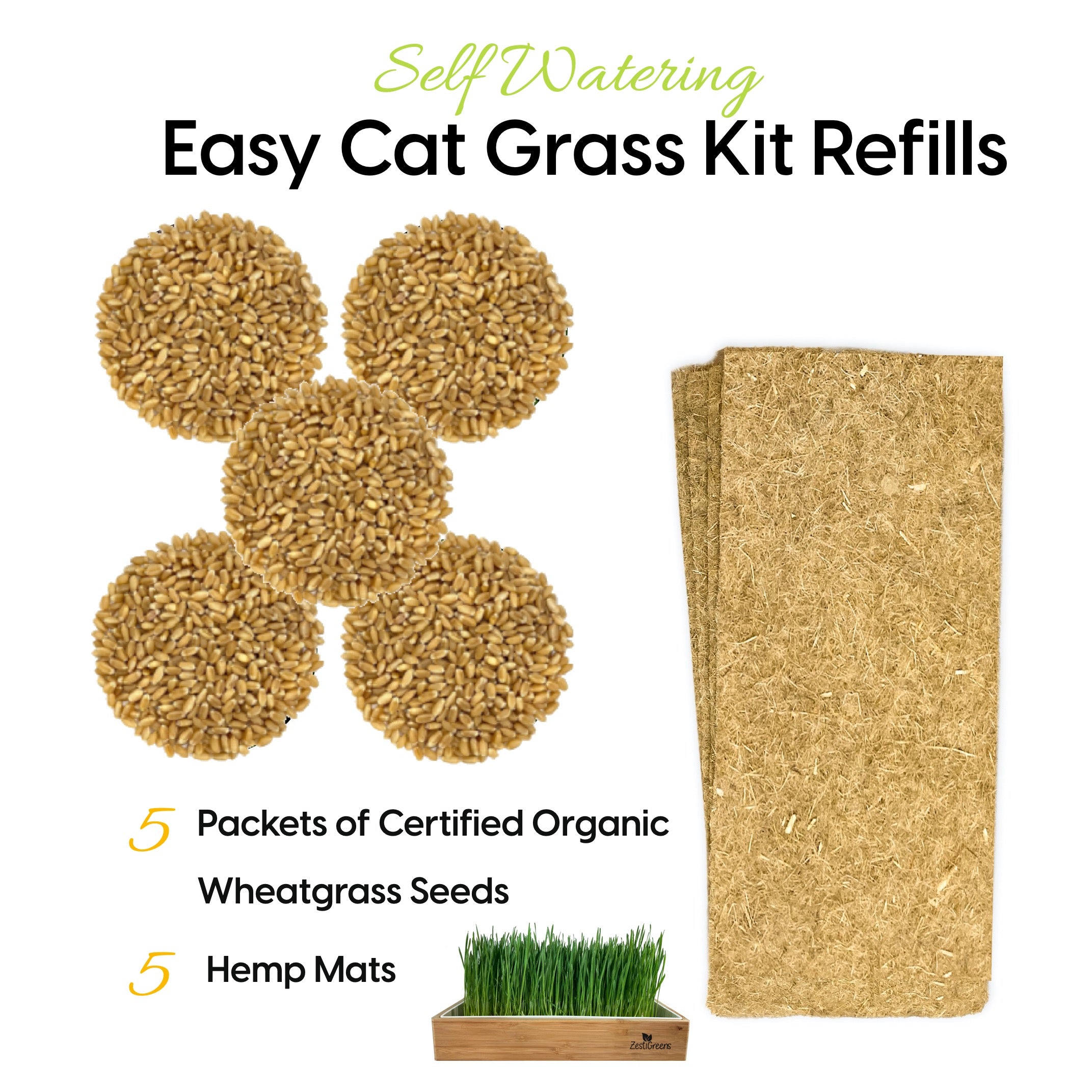 Kit + Refills Bundle