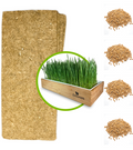 Refill Pack (3-Pack)