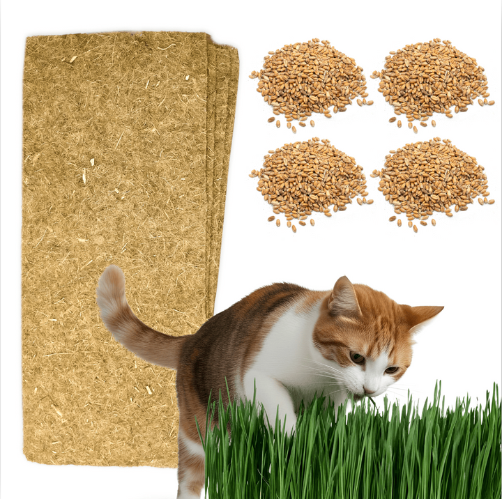 FelineBoost 4-pack refills with four wheatgrass seed packets and four hemp growing mats; planter not included