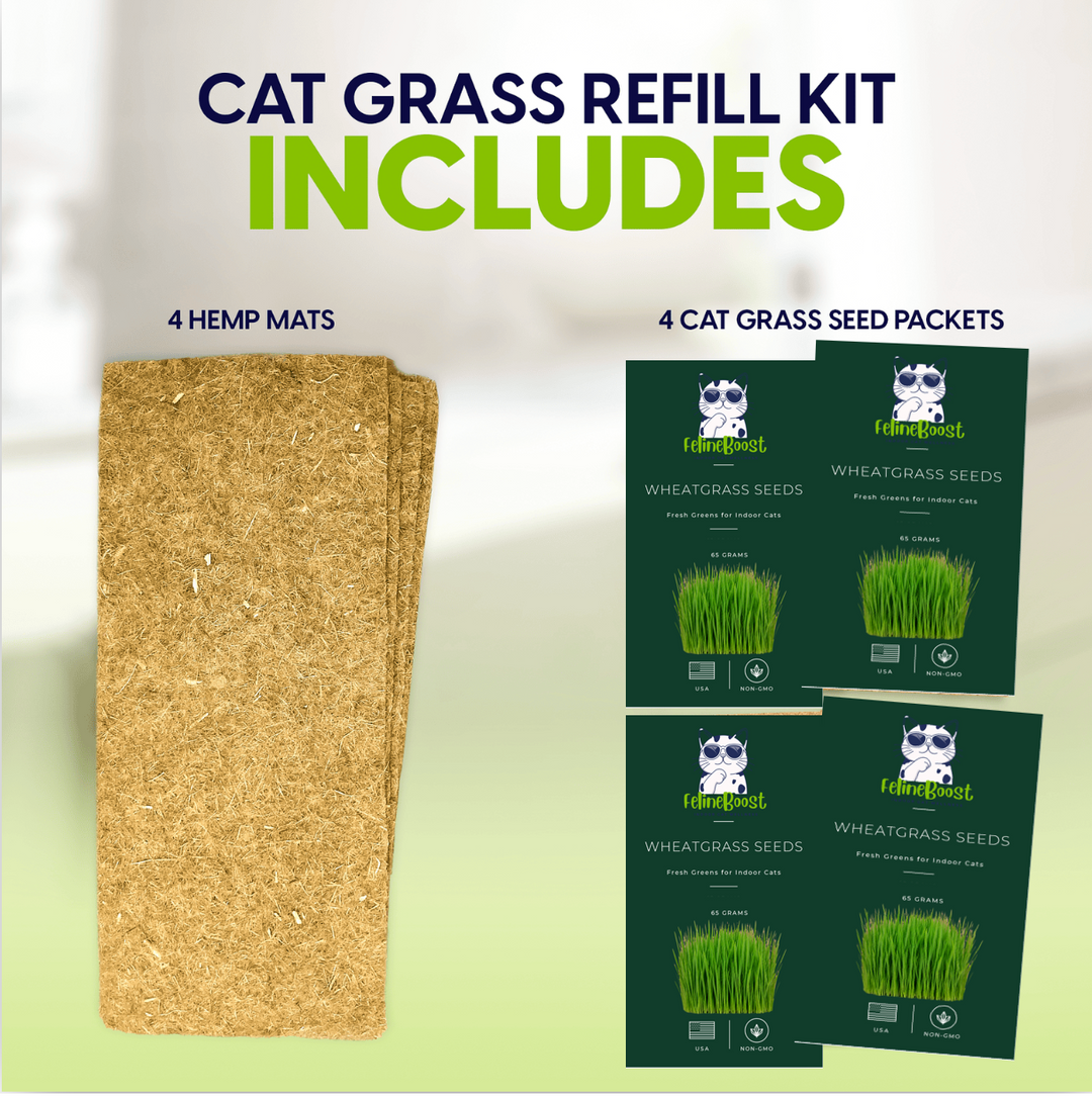 Cat Grass Self-Watering Refill Pack (4-Pack)