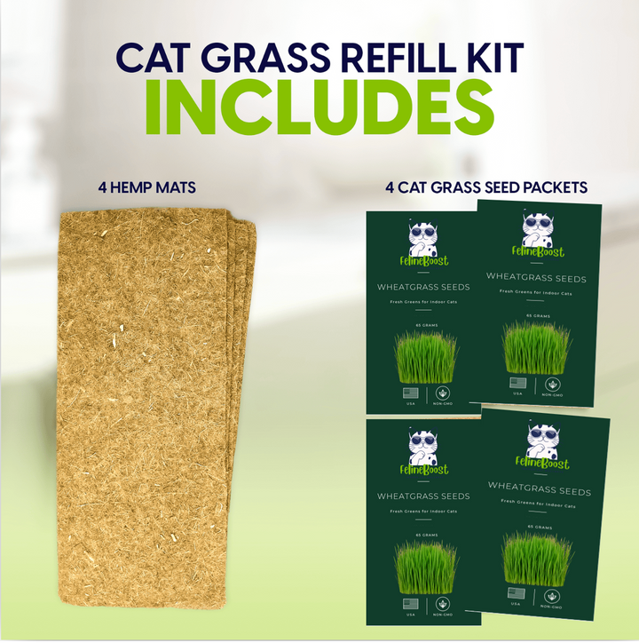 Cat Grass Self-Watering Refill Pack (4-Pack)