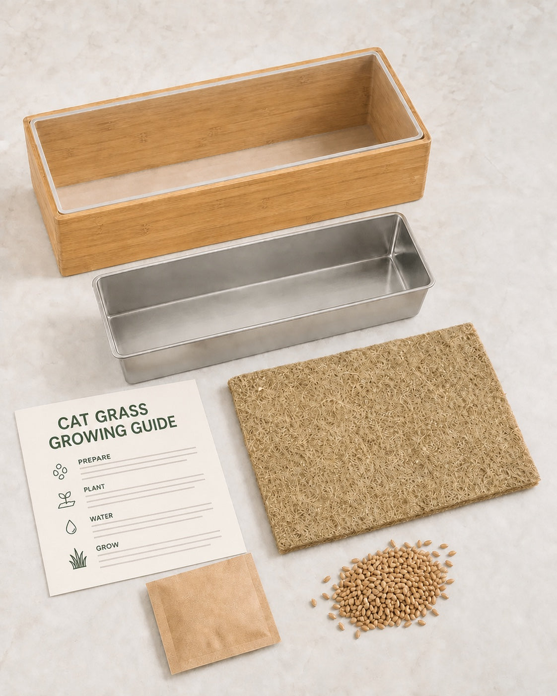 FelineBoost starter-system components arranged on a warm stone surface